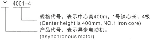 西安泰富西玛Y系列(H355-1000)高压YE2-160M-4三相异步电机型号说明