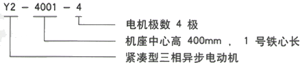 YR系列(H355-1000)高压YE2-160M-4三相异步电机西安西玛电机型号说明